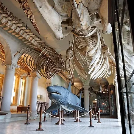 شقة Dinbnb I Historical Building I 50m To Museum *