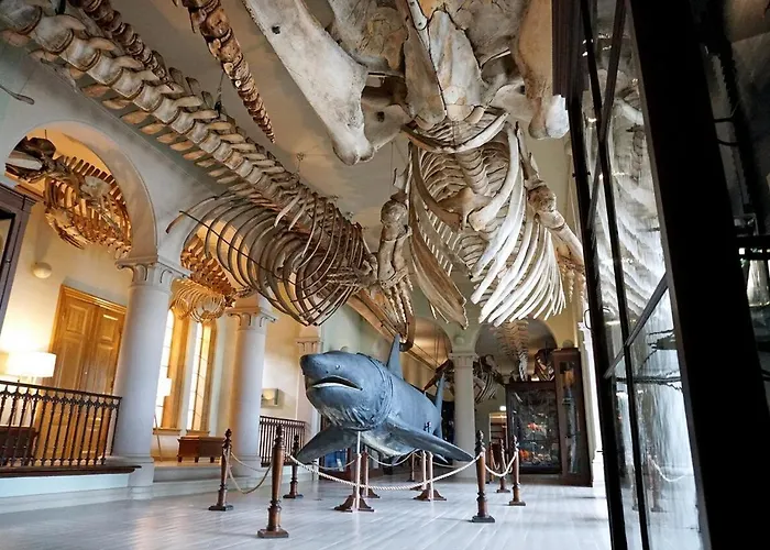 Apartment Dinbnb I Historical Building I 50m To Museum *